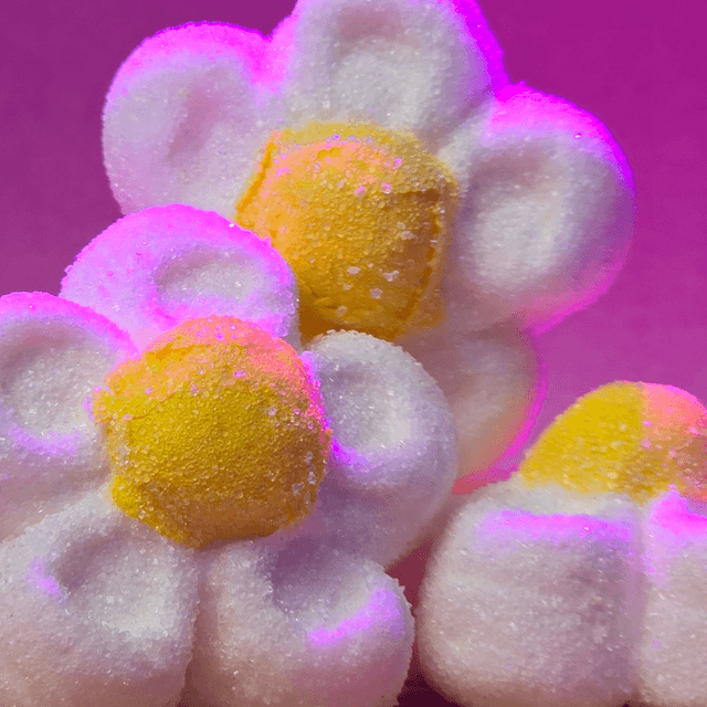 Fleur blanche marshmallow